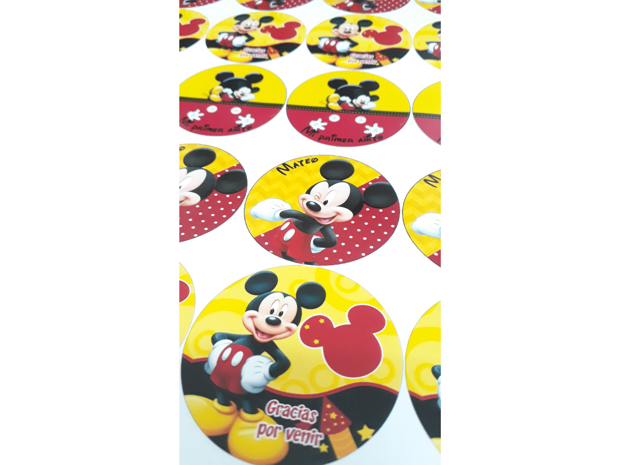 Plancha de Sticker A4 (resistentes al agua)