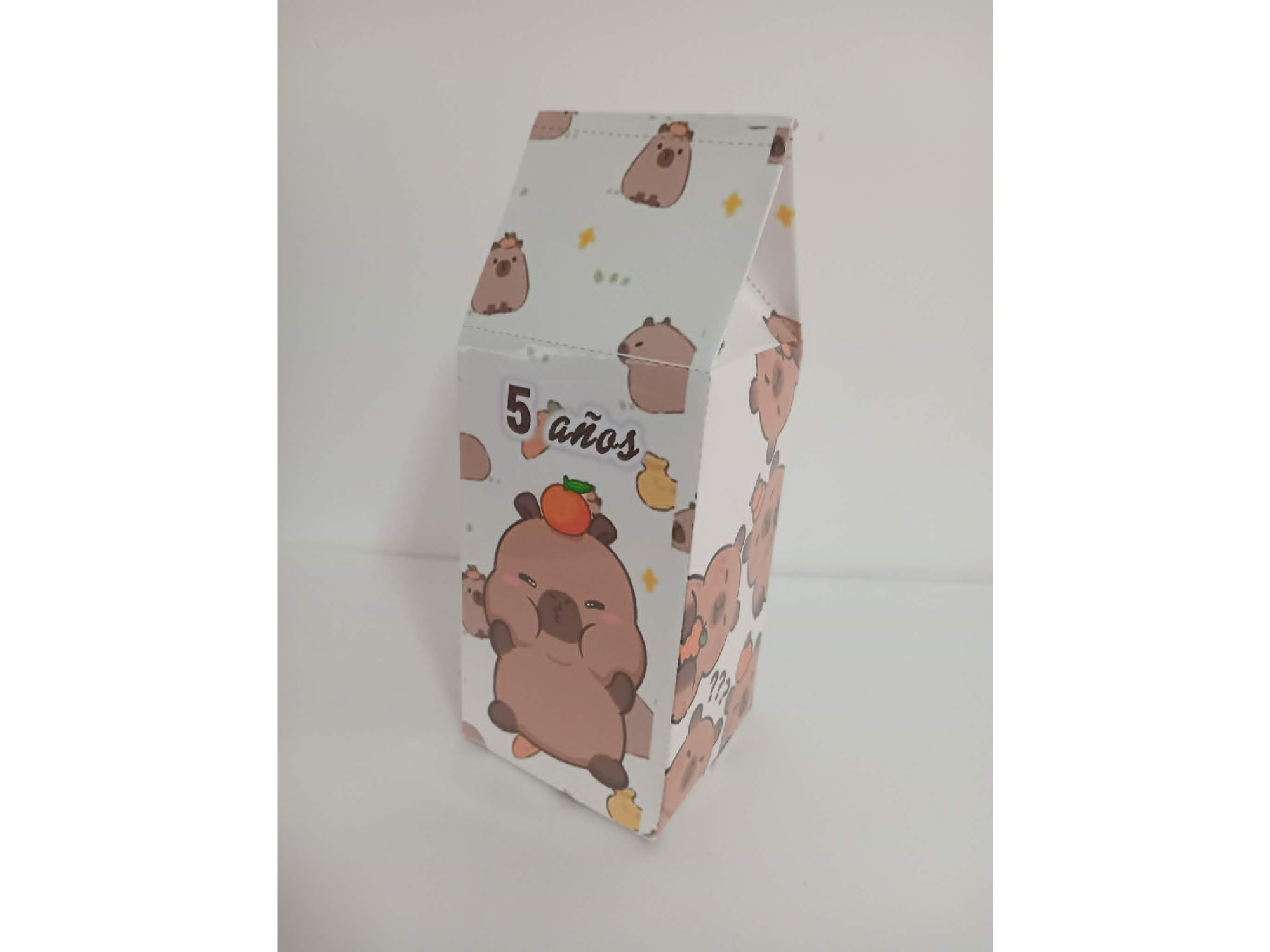 Caja Milk Box XL