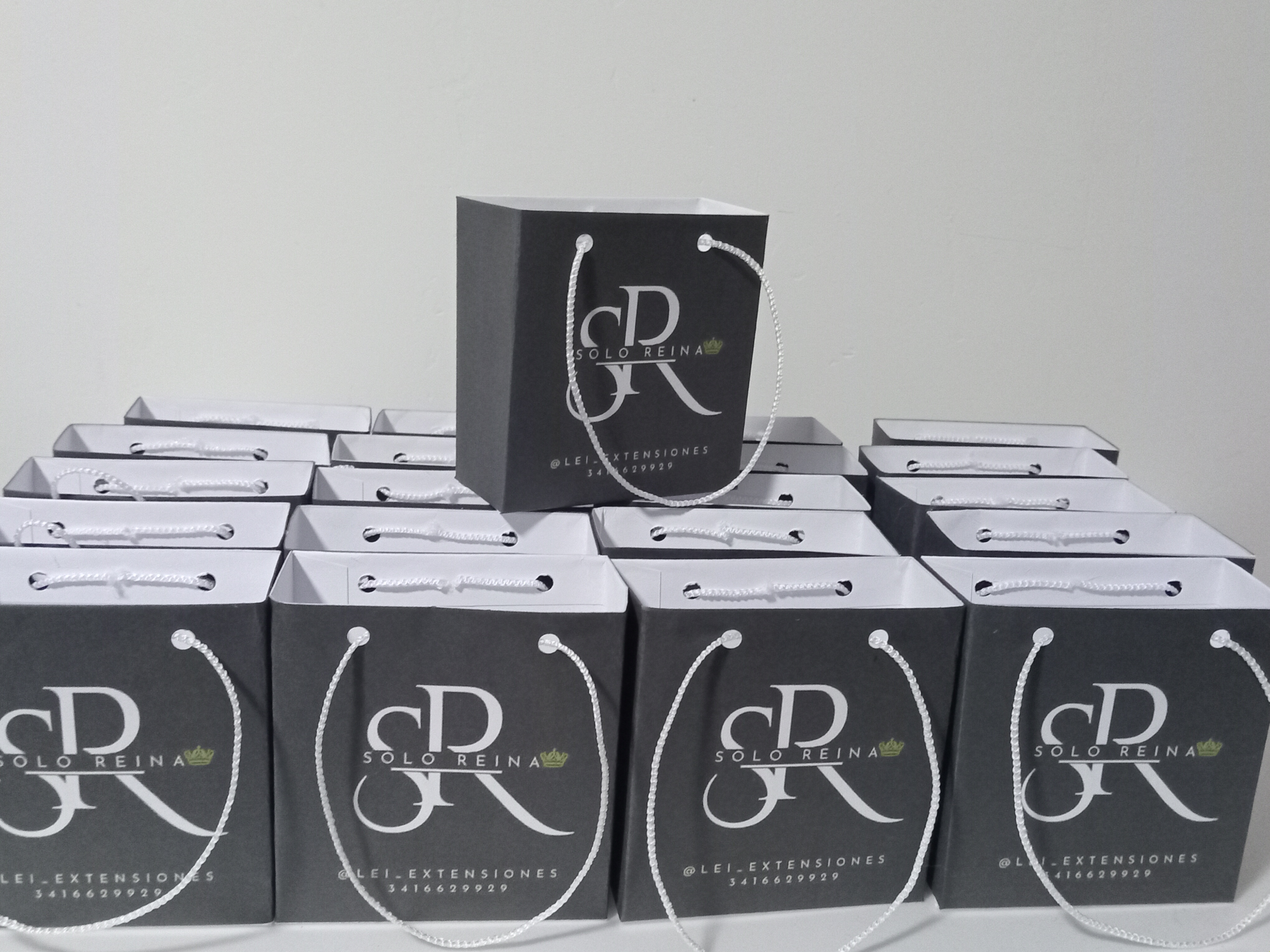 Bolsas 10x10 x 100u.