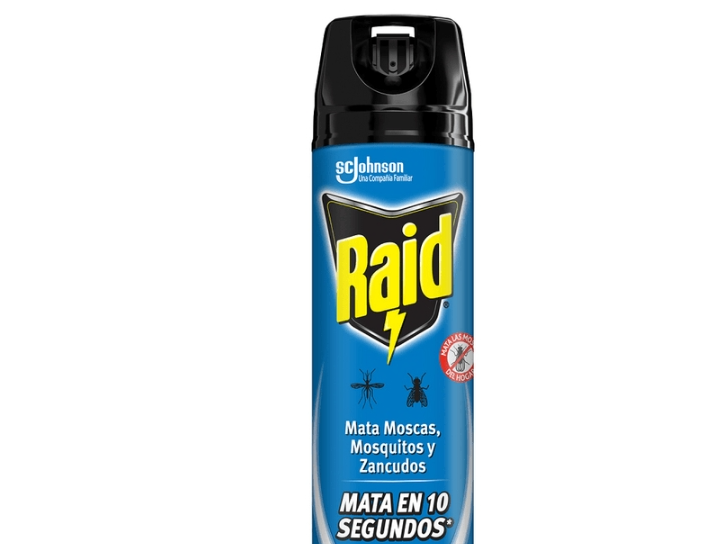 Raid