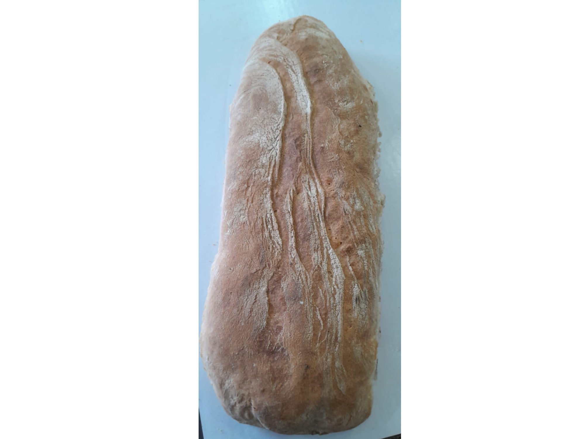 PAN CASERO