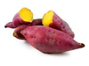 CAMOTE