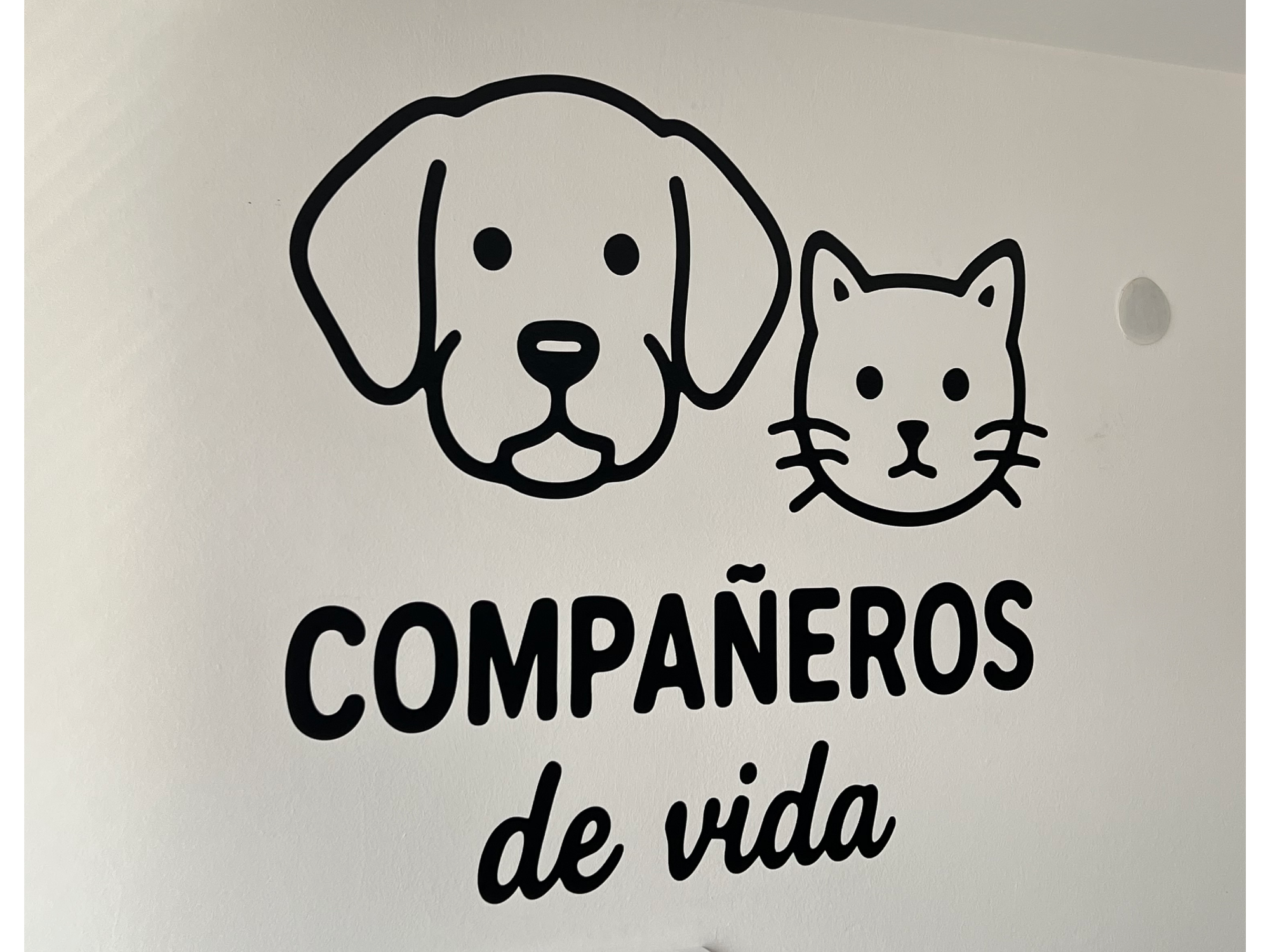 Vinilos de corte