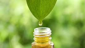 ACEITES