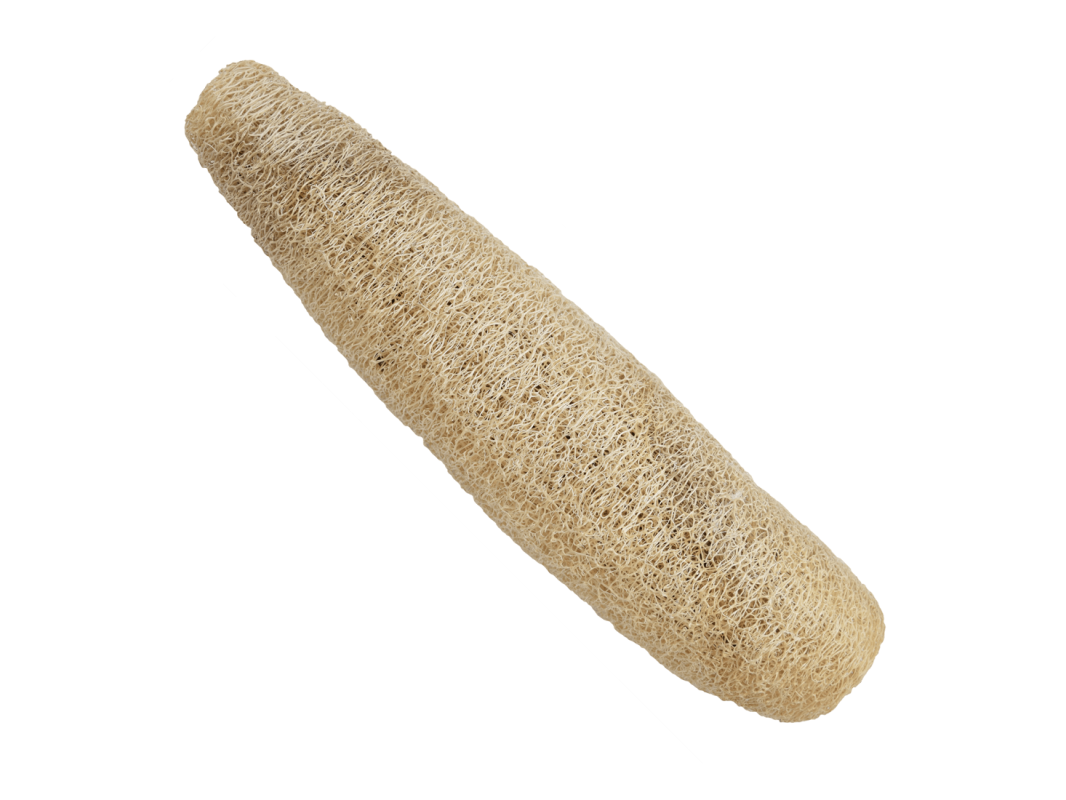 ESPON ESPONJA VEGETAL GRANDE