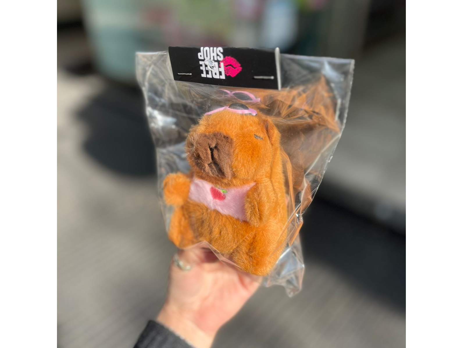 LLAVERO CAPIBARA PELUCHE ROSA