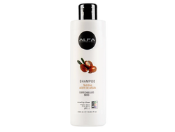 SHAMPOO ACEITE DE ARGAN