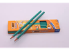 LAPIZ NEGRO BIC EVOLUTION