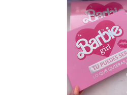 paleta rubor e iluminador