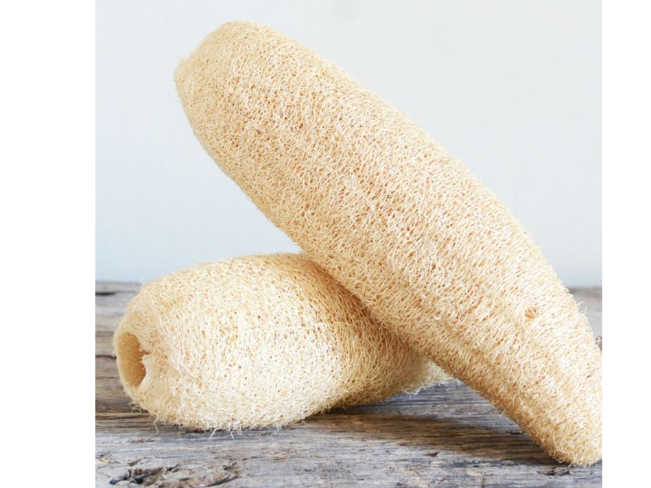 Esponja Vegetal Sweet Espon