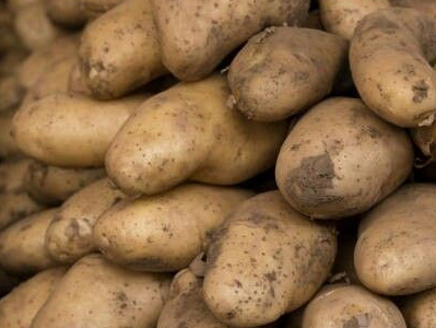 Papa Negra 3kg