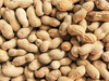Mani con cascara 100g