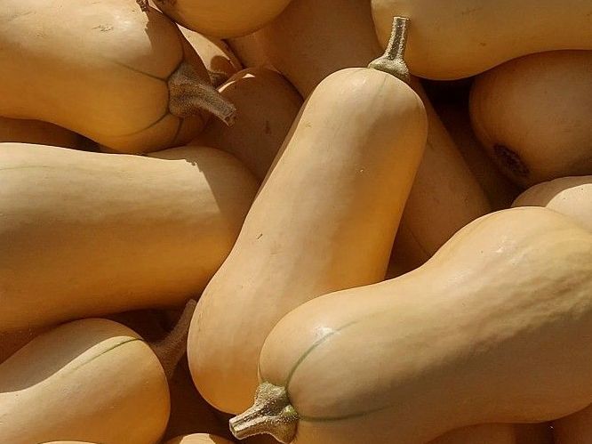 Calabacin 1kg