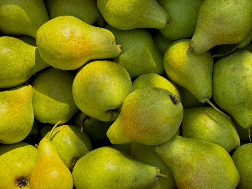 Pera 2kg