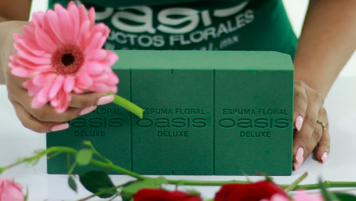 ESPONJA FLORAL OASIS