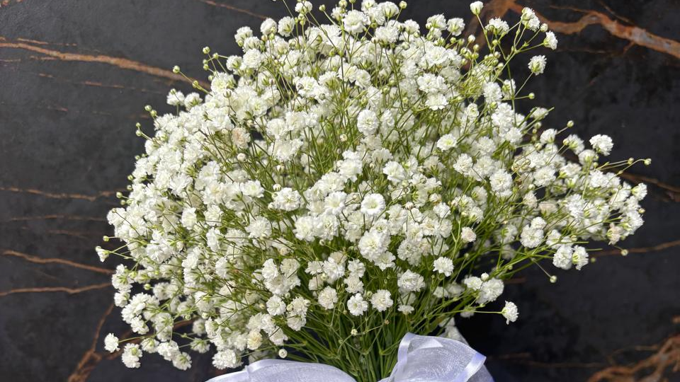 NOVIAS