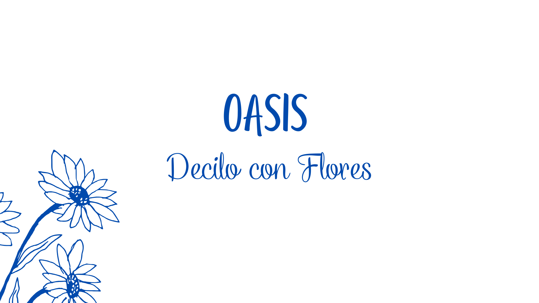 ESPONJA FLORAL OASIS