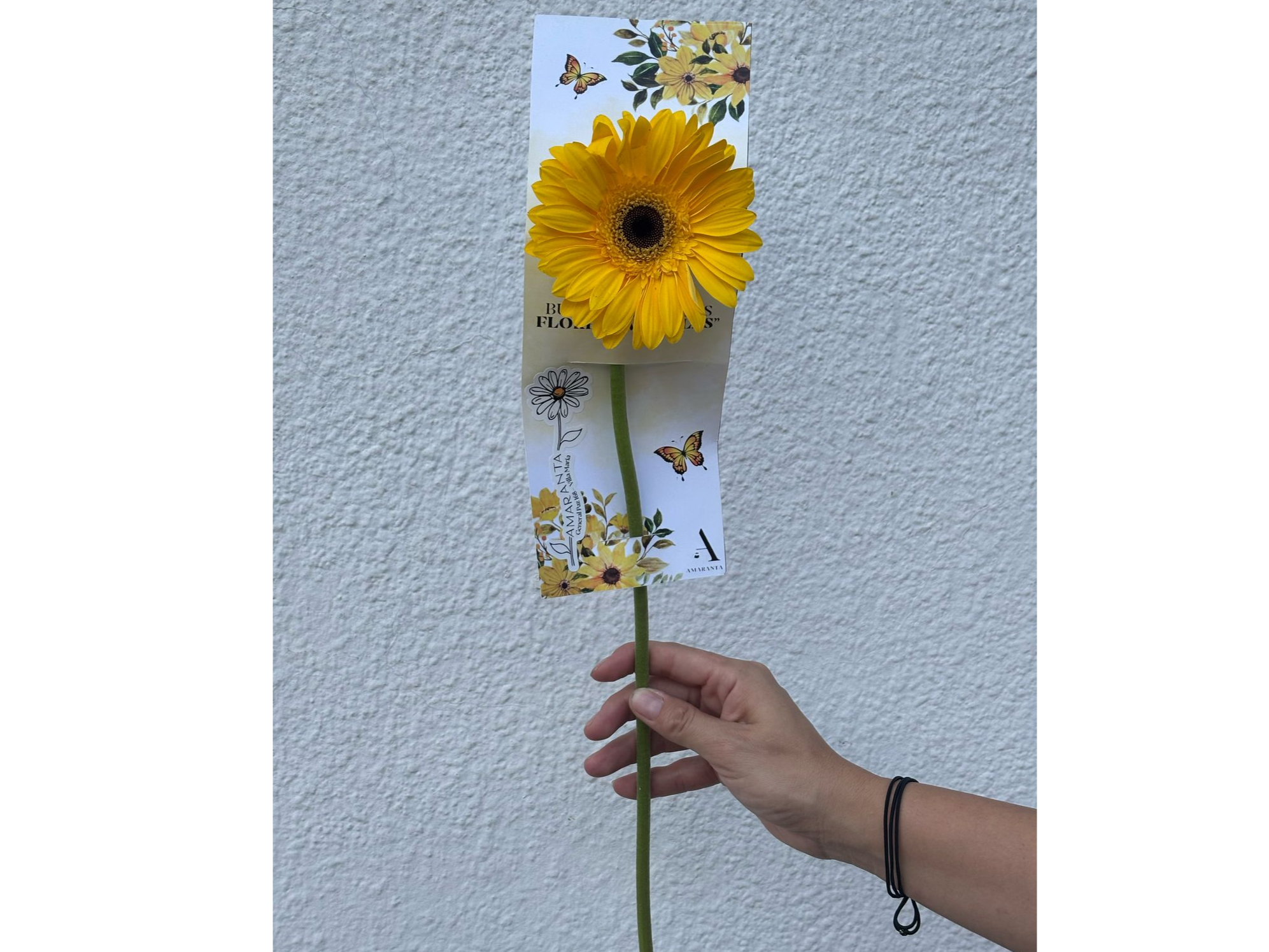 Gerbera Amarilla