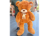 Oso Gigante