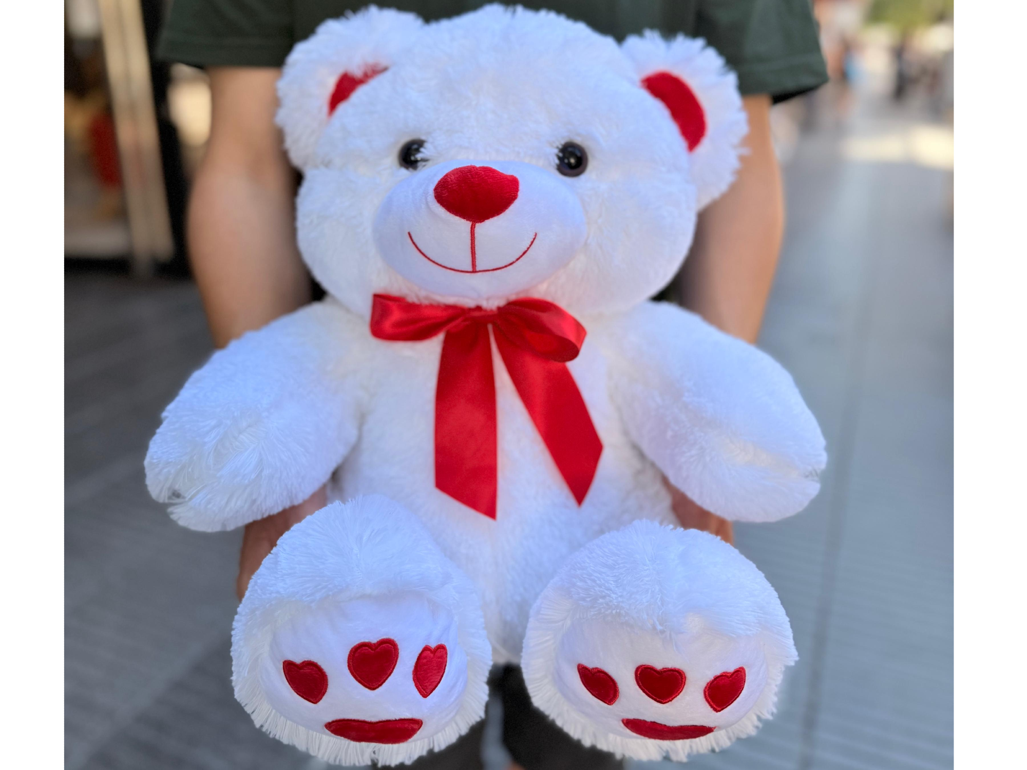 Osito de Peluche (mediano)