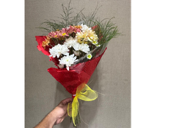 7 VARAS SURTIDAS **PAPEL PANAL IMPORTADO**