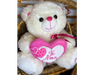 Osos de Peluches (grandes)