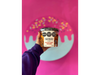 DULCE DE LECHE TENTACION
