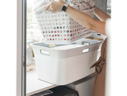 BATEA LAUNDRY (Art.138)