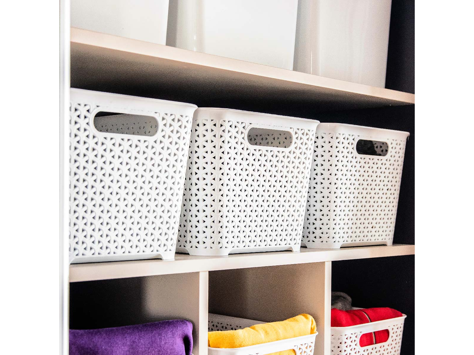 CESTO RATAN (Art.954)