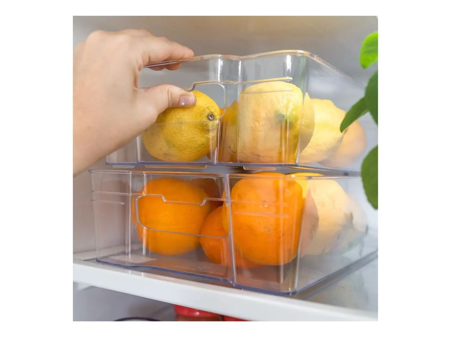 ORGANIZADOR DE HELADERA (Art.8591)