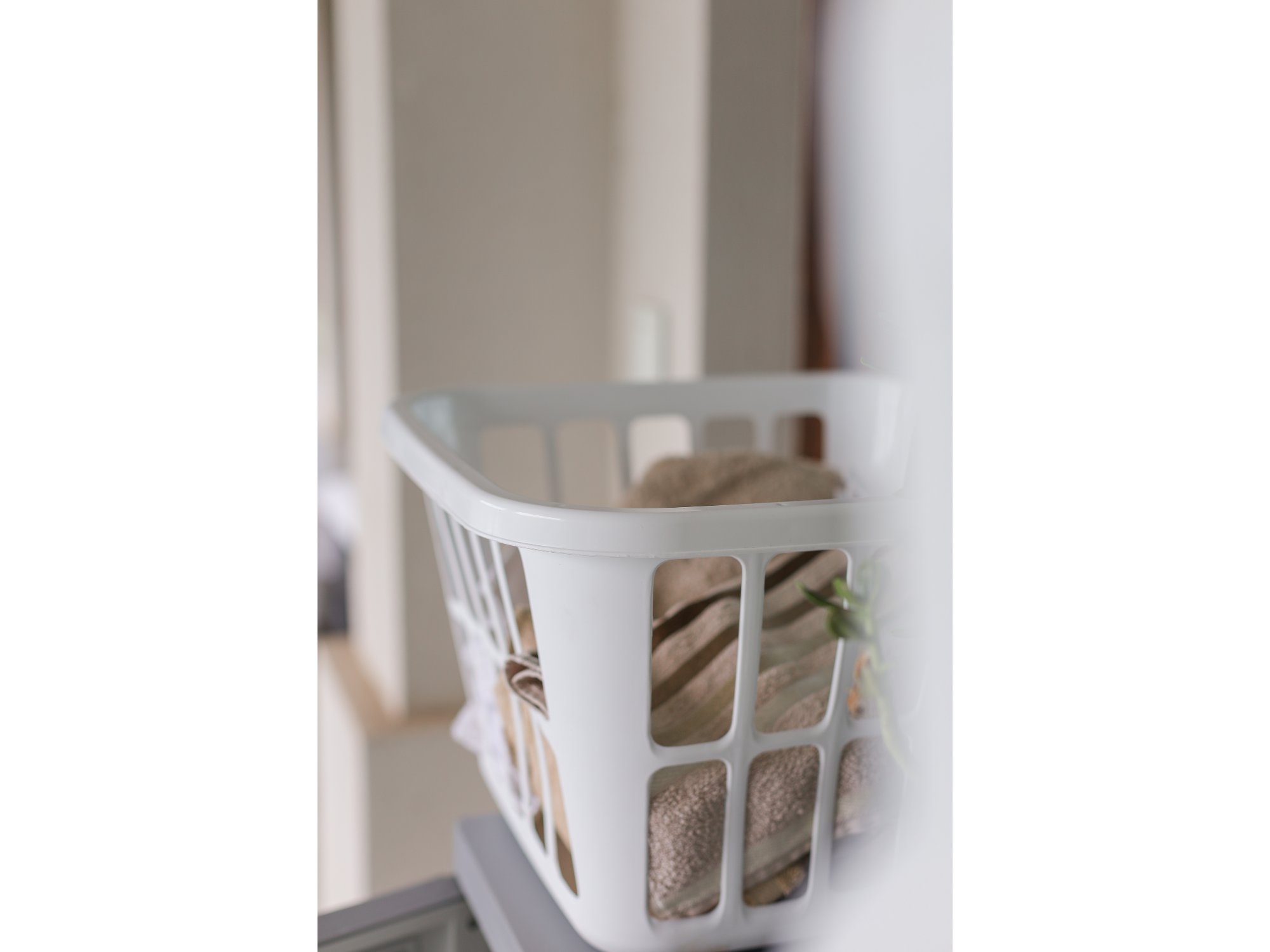 CANASTO LAUNDRY (Art.1008)