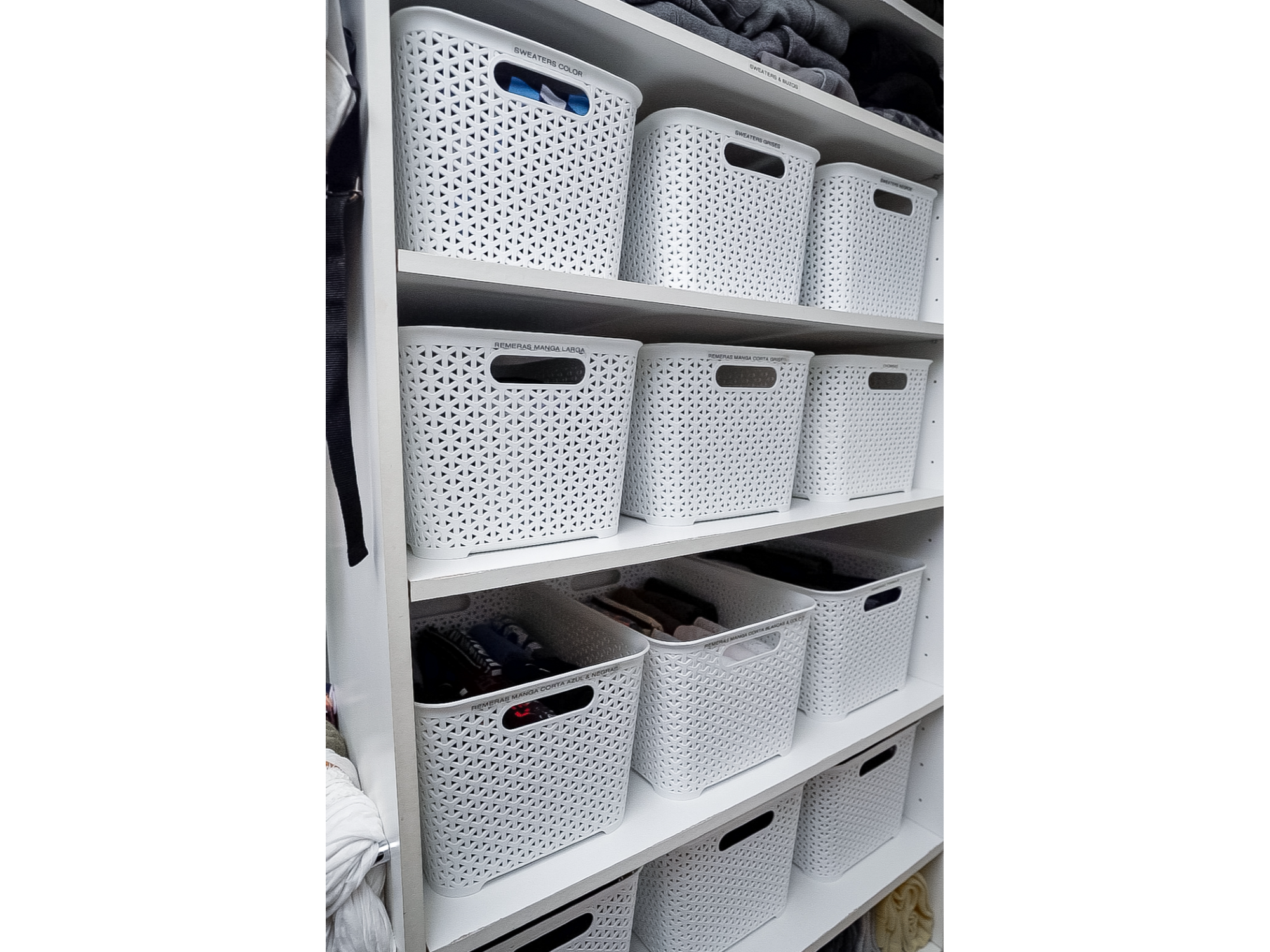 CESTO RATAN (Art.954)