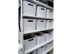 CESTO RATAN (Art.954)