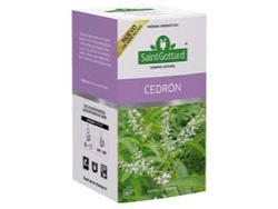 Saint Gottard Cedron