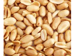 Maní Natural Sin Sal