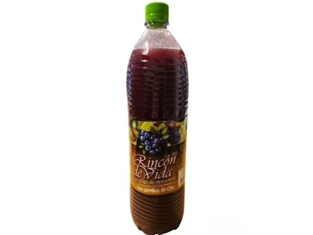 Rincon de Vida Juego de Arandanos con Chia