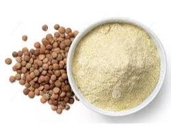 Harina de Lenteja