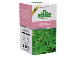 Saint Gottard Moringa