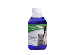 Dental plax