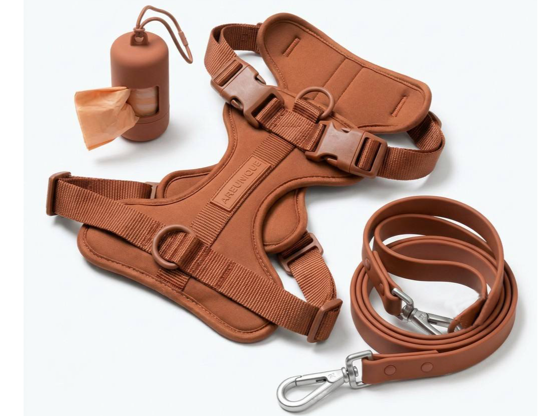 Kit de Paseo Cocoa