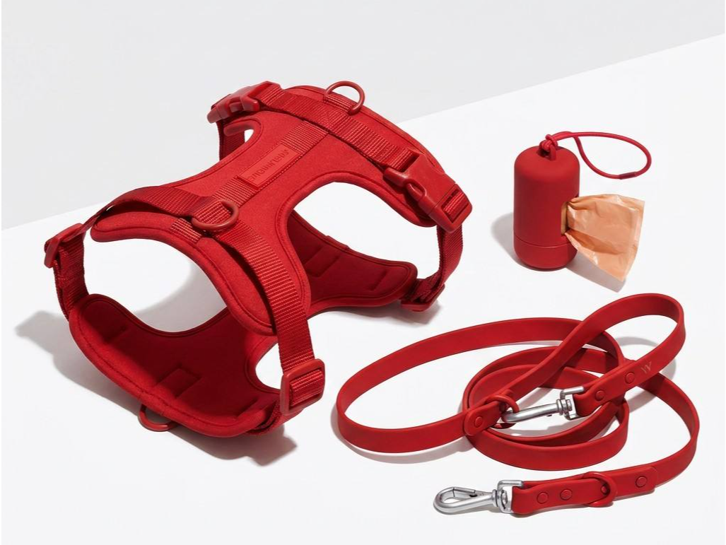 Kit de Paseo Cherry