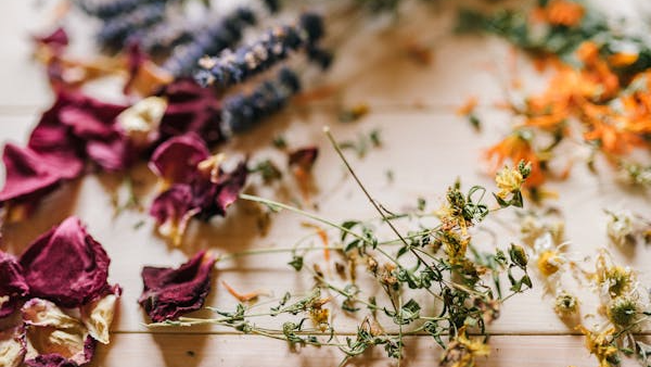 HERBORISTERÍA, BOTÁNICOS, HIERBAS Y MÁS