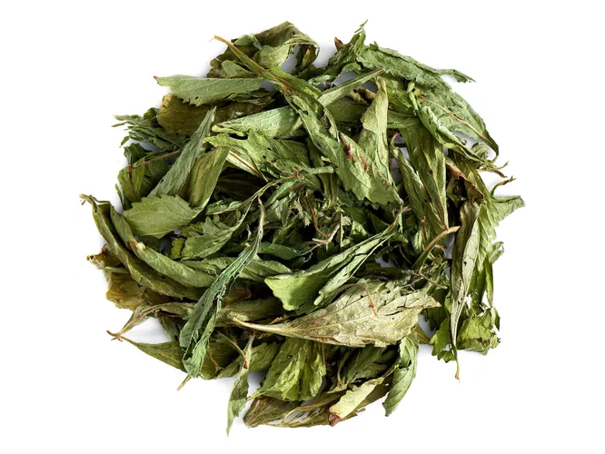 STEVIA EN HOJA