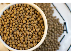 QUINOA POP CON ALGARROBA