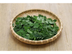 MORINGA