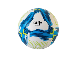Pelota profesional Aquila - CH1