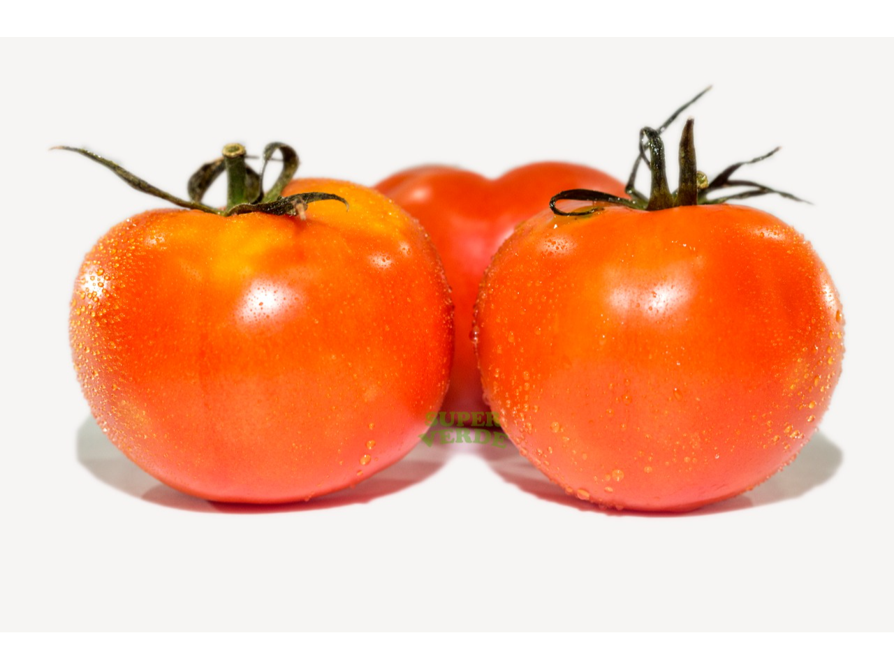 TOMATE REDONDO