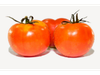 TOMATE REDONDO