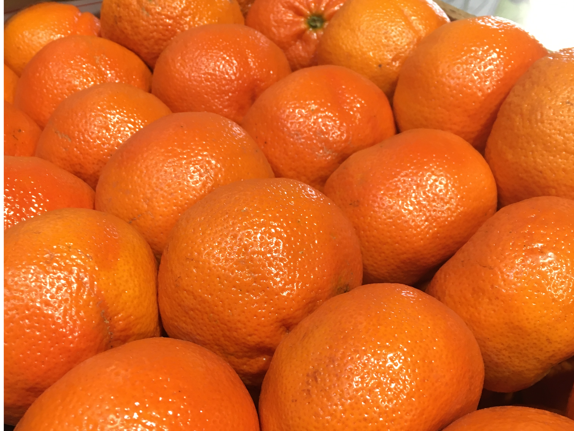 MANDARINA