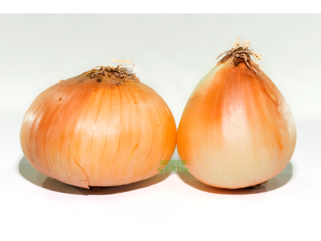 CEBOLLA